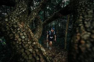 BIB: 
                            <button type="button" onclick="openModal(25679589)" class="btn btn-primary btn-sm float-right btn-popup" data-toggle="modal" data-target=".modal-high-quality">
                        <i class="fas fa-shopping-cart"></i> Add to Cart
                    </button>
                                            <button type="button" onclick="isThisMe(25679589, true)" class="btn btn-success btn-sm float-right btn-popup btn-isme hidden" data-toggle="tooltip" data-placement="bottom" title="นี่คือรูปของคุณใช่ไหม คลิกที่นี่เพื่อเอาเข้าอัลบั้ม">
                        <i class="fas fa-plus"></i> Add to album
                    </button>
                    <button type="button" onclick="isThisMe(25679589, false)" class="btn btn-warning btn-sm float-right btn-popup btn-isnotme hidden">
                        <i class="fas fa-ban"></i> Remove from album
                    </button>